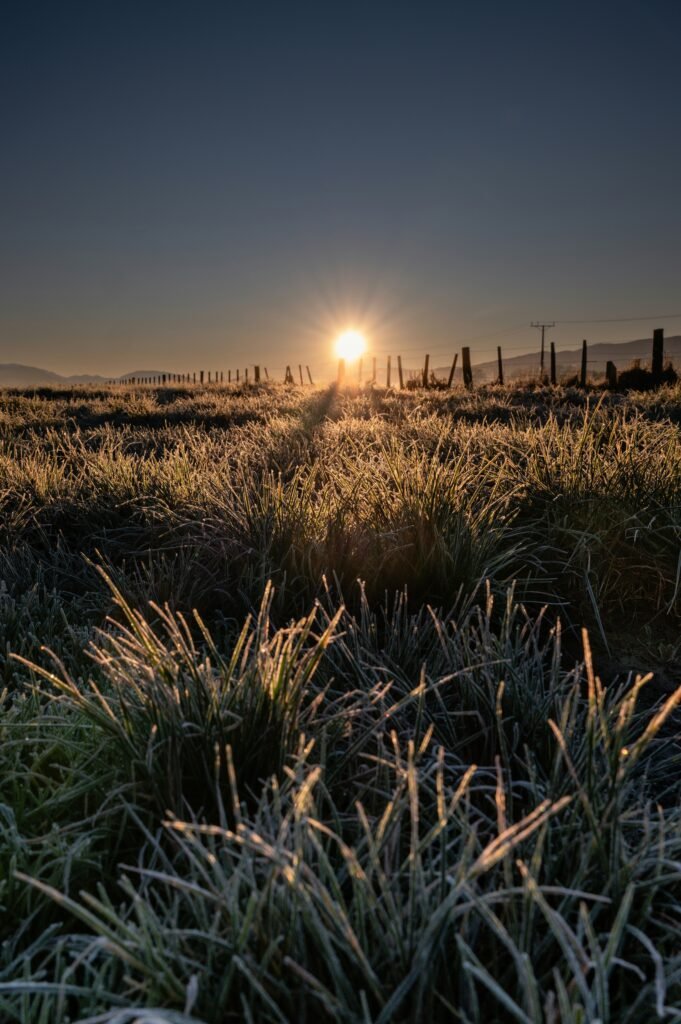 Sunrise over a quiet field representing clarity, reflection, and grounded coaching presence